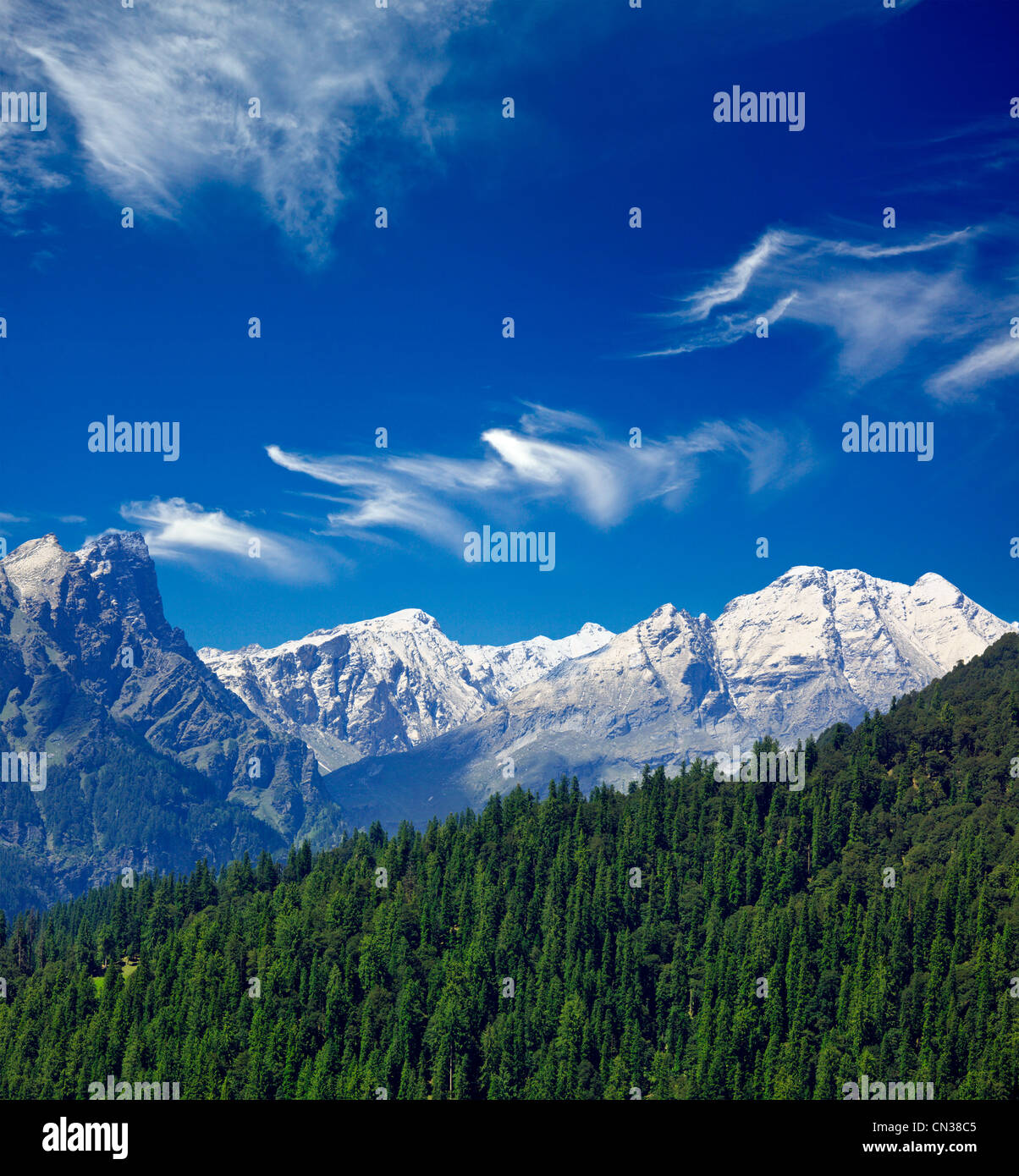 Green landscape india hi-res stock photography and images - Alamy