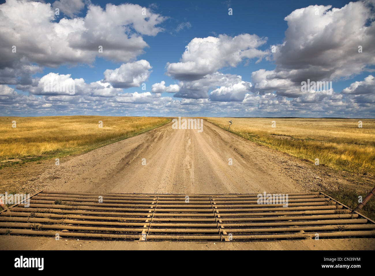 Texas gate, rural road Stock Photo Alamy