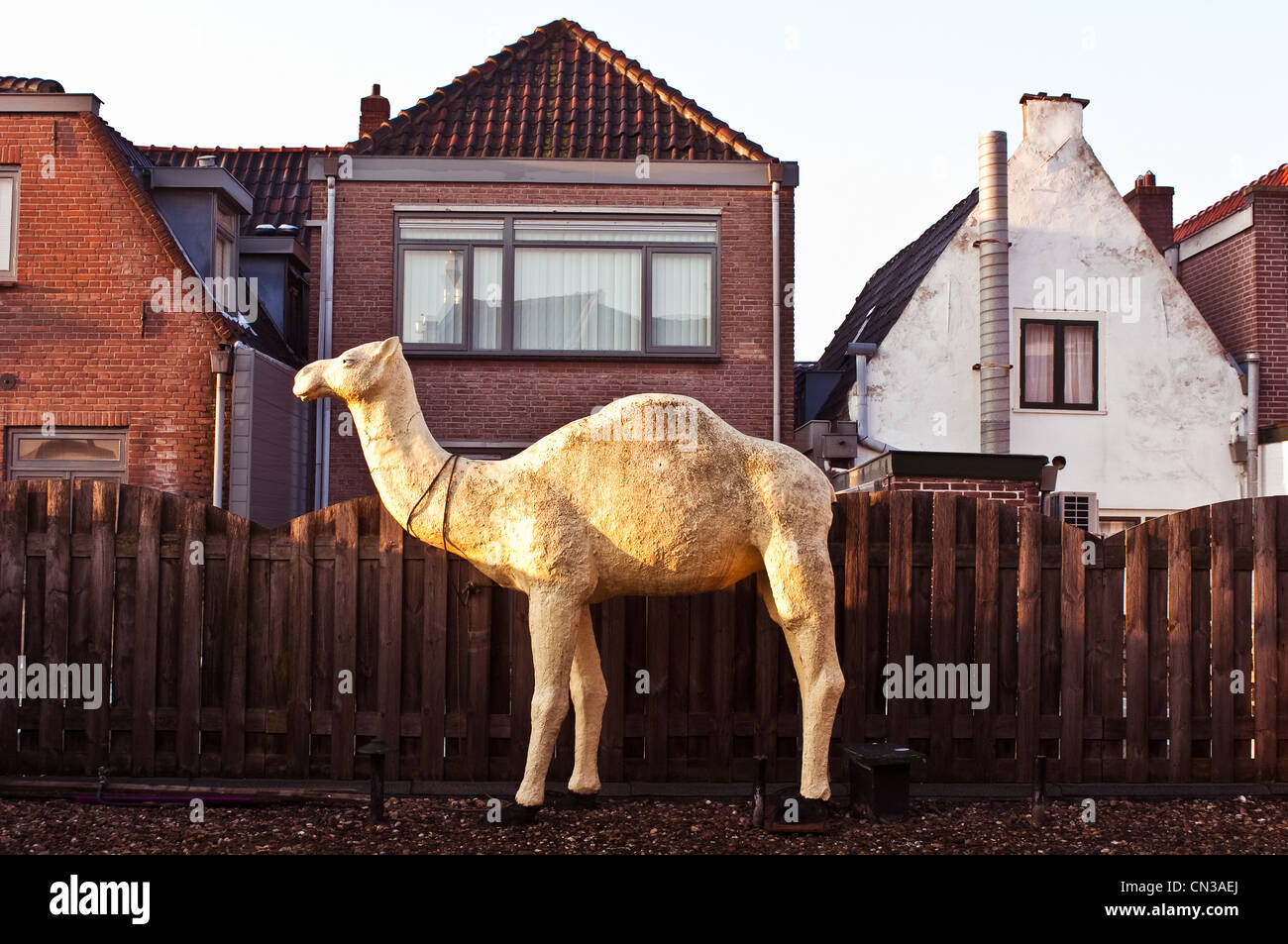 Model of camel outside house Stock Photo