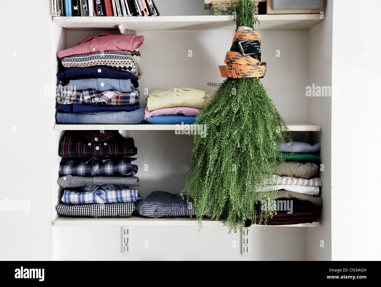 Bunch plants hanging upside down hires stock photography and images