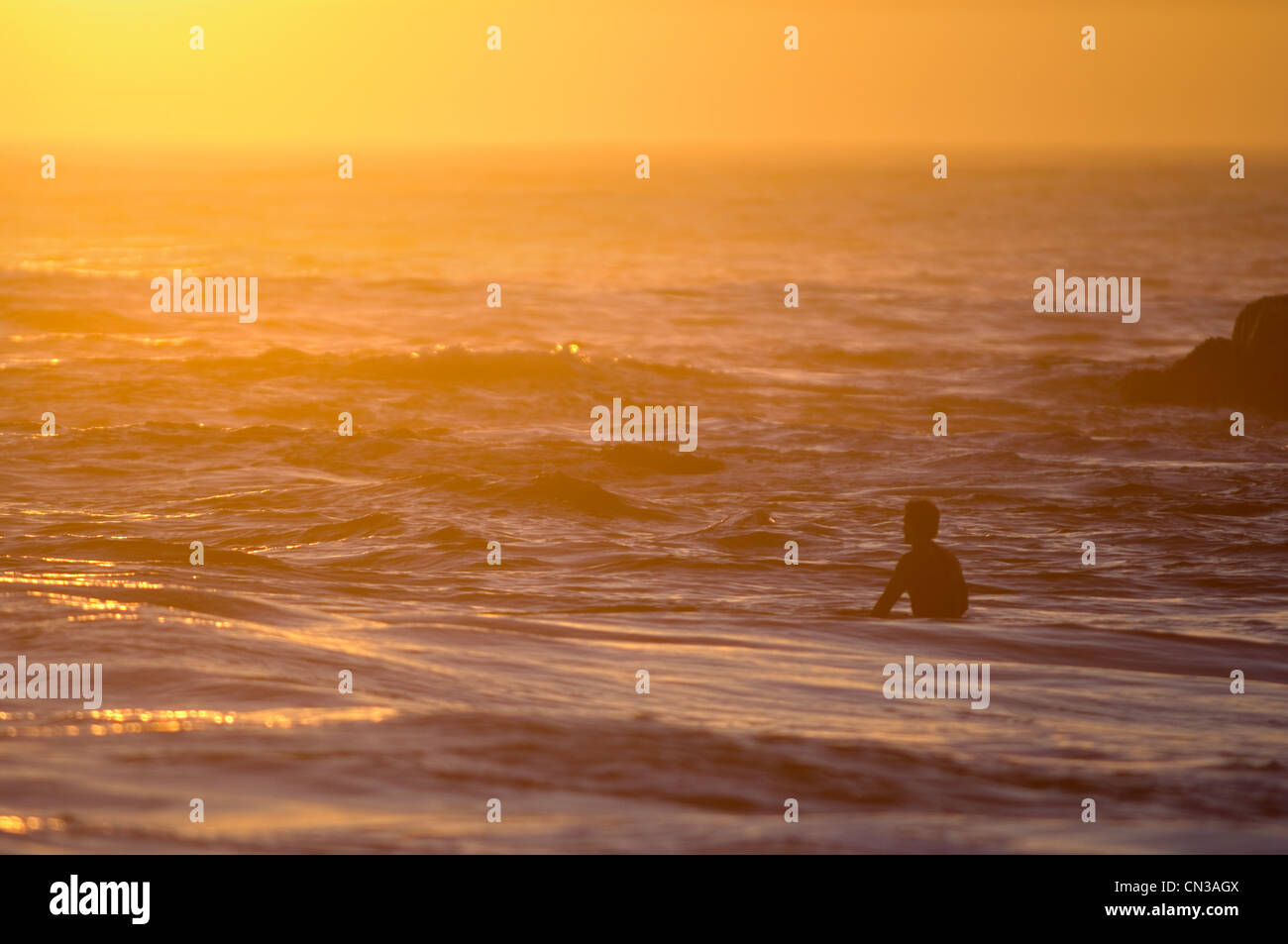 Surfer in sea at sunset Stock Photo