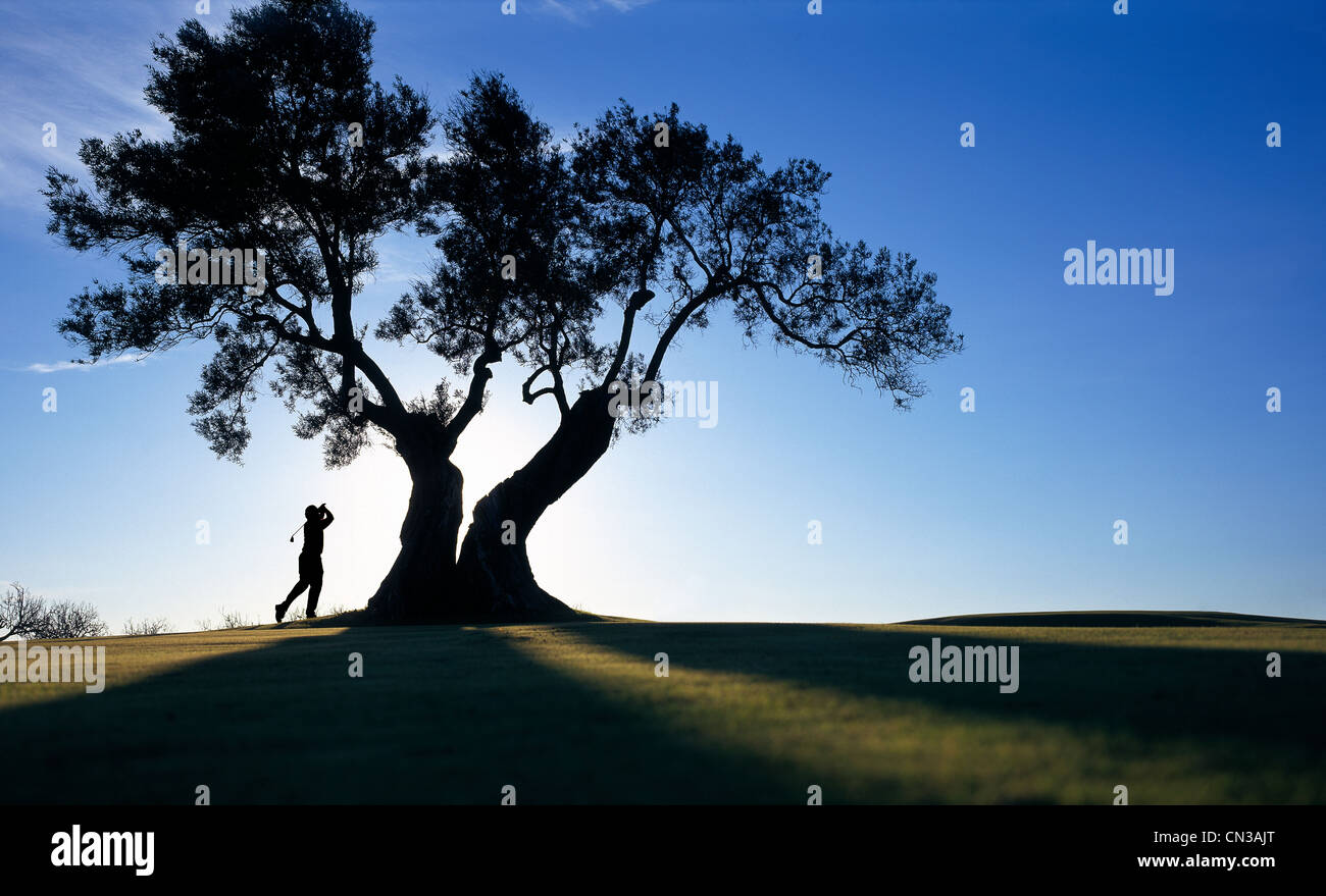 Person playing golf under tree Stock Photo