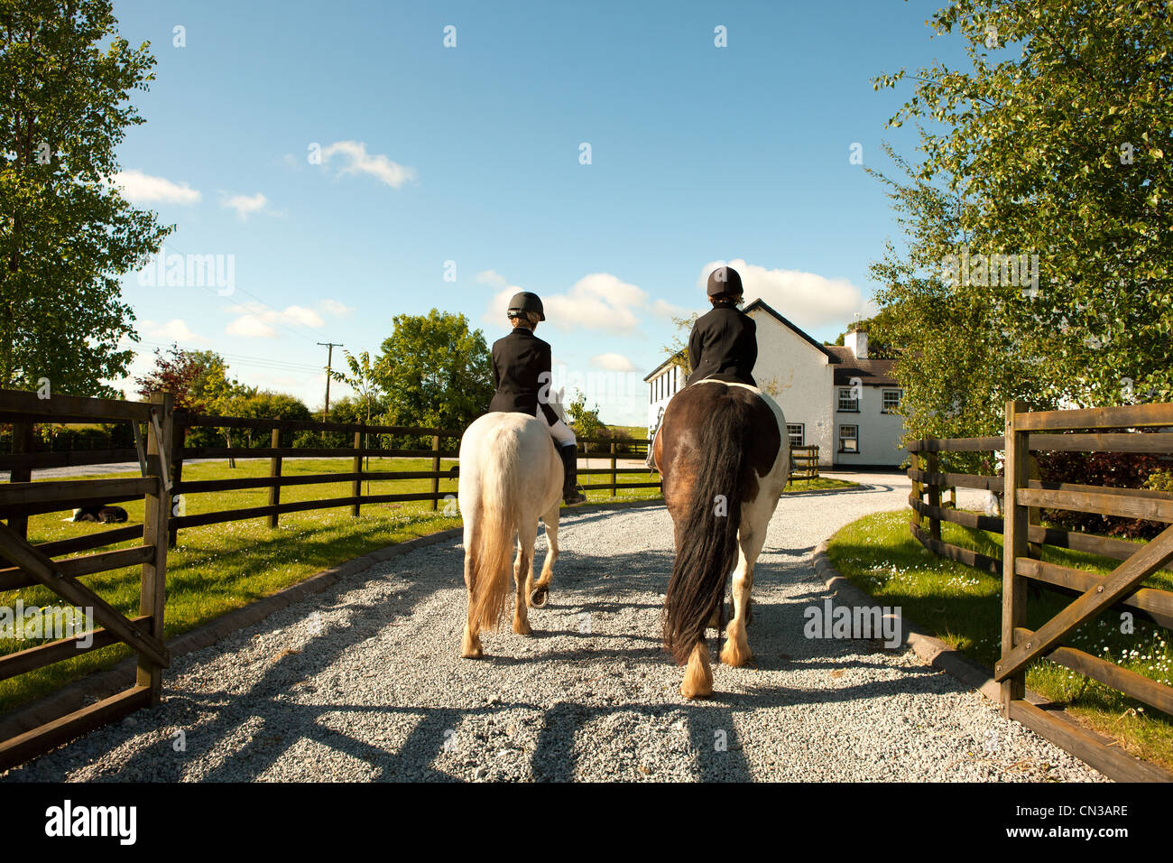 Boys horse riding together, rear view Stock Photo - Alamy