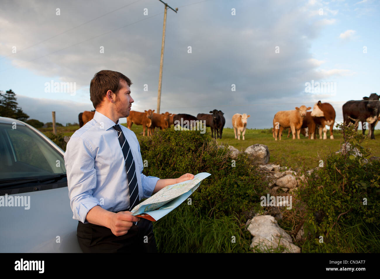 Businessman reading map in rural area Stock Photo