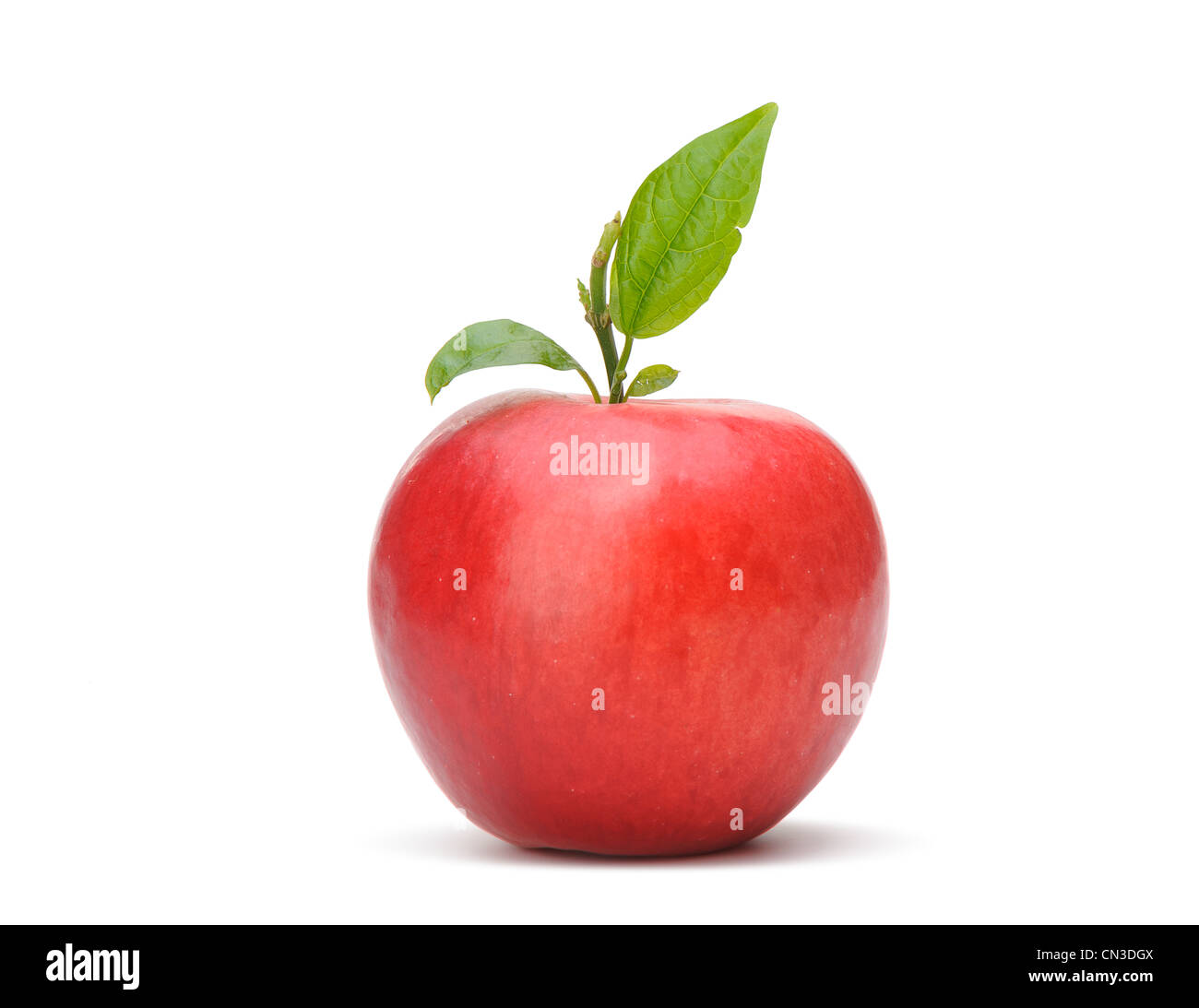 Red apple with a green leaf. Isolated on white background Stock Photo ...