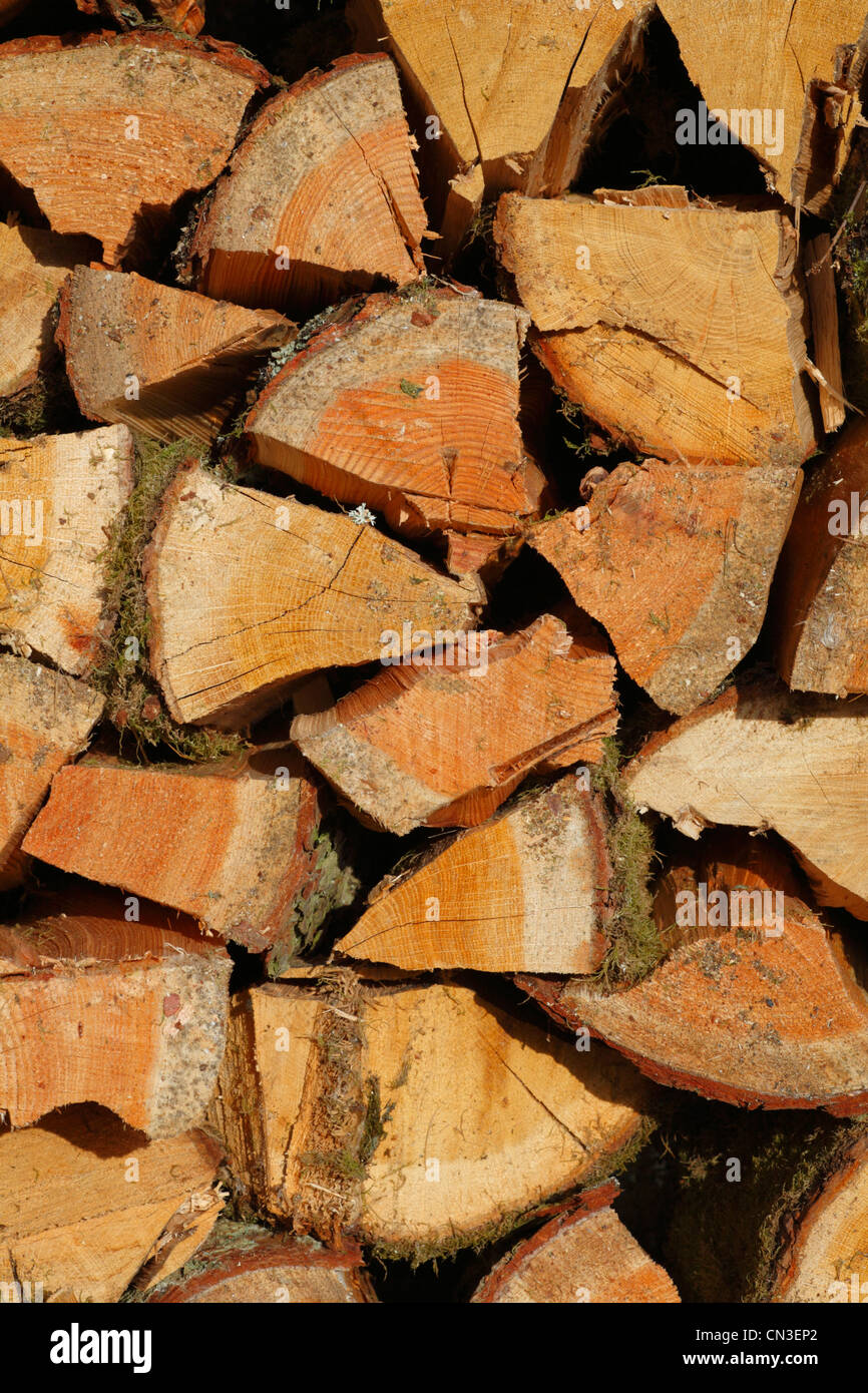 Logs chopped and stacked ready for a woodburning stove. Oak and Larch. Powys, Wales, November