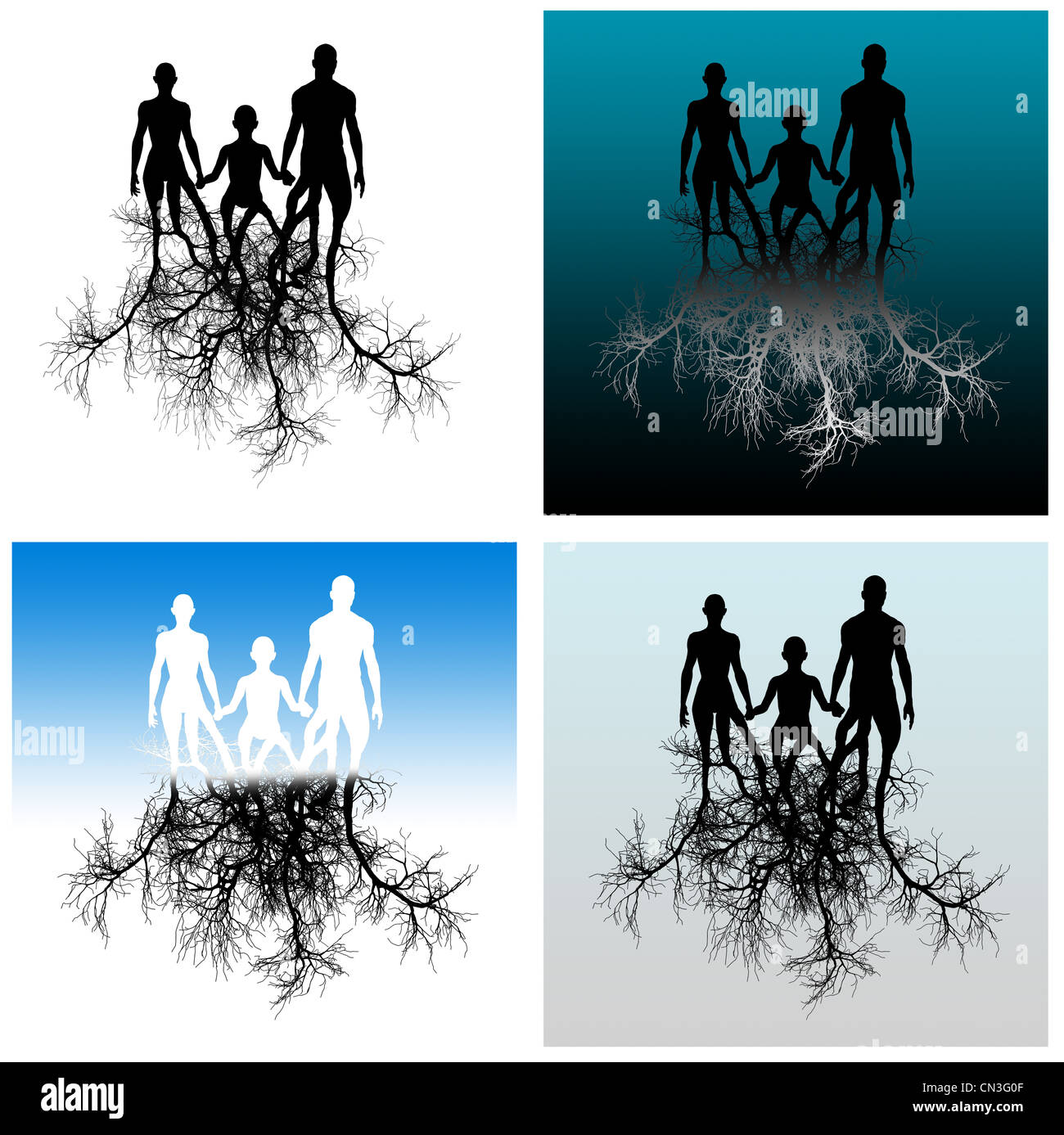 Family Tree Roots Background Family Tree Roots Stock Illustrations