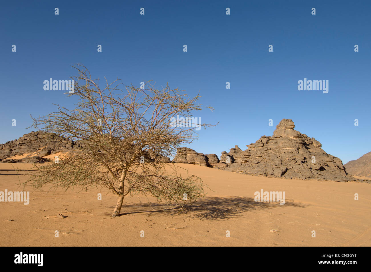 Libya, Fezzan, Sahara desert, Akakus Stock Photo