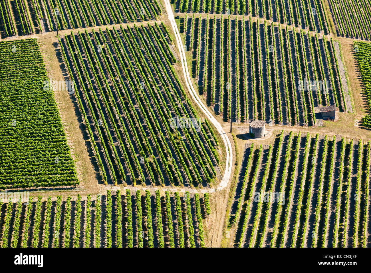 France, Charente, Bonneuil vineyards of Cognac (aerial view Stock Photo
