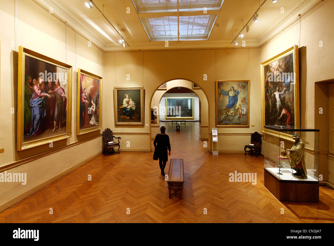 France, Tarn, Castres, Goya museum Stock Photo