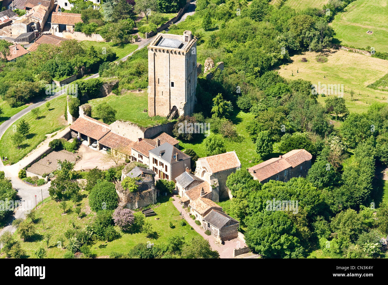 France, Vienne, Moncontour the dungeon (aerial view) Stock Photo