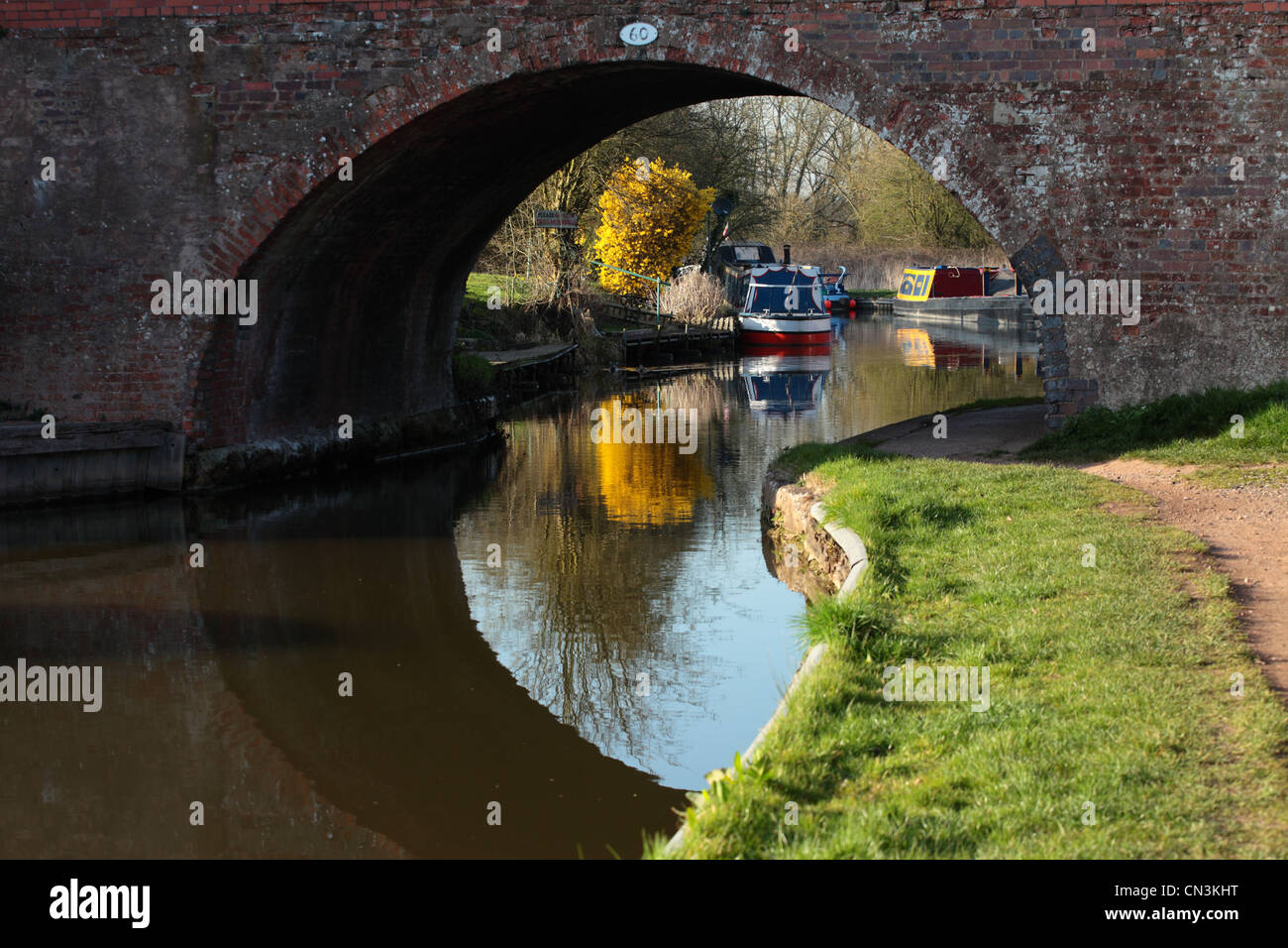 The Worcester Birmingham Canal near Alvechurch, Worcestershire Stock