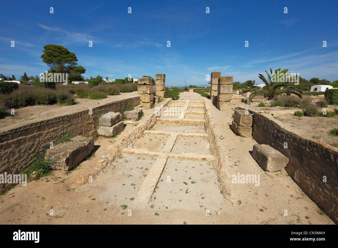 Tunisia, archeological site of Carthage listed as World Heritage by UNESCO, the war Punic port
