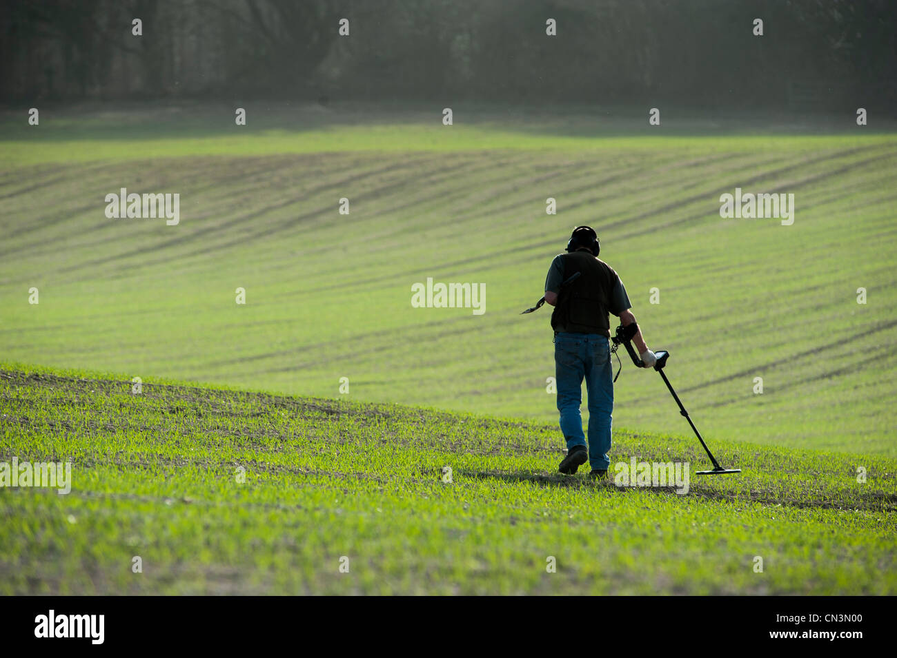 A man searches in a green field using a metal detector in Dorset Stock