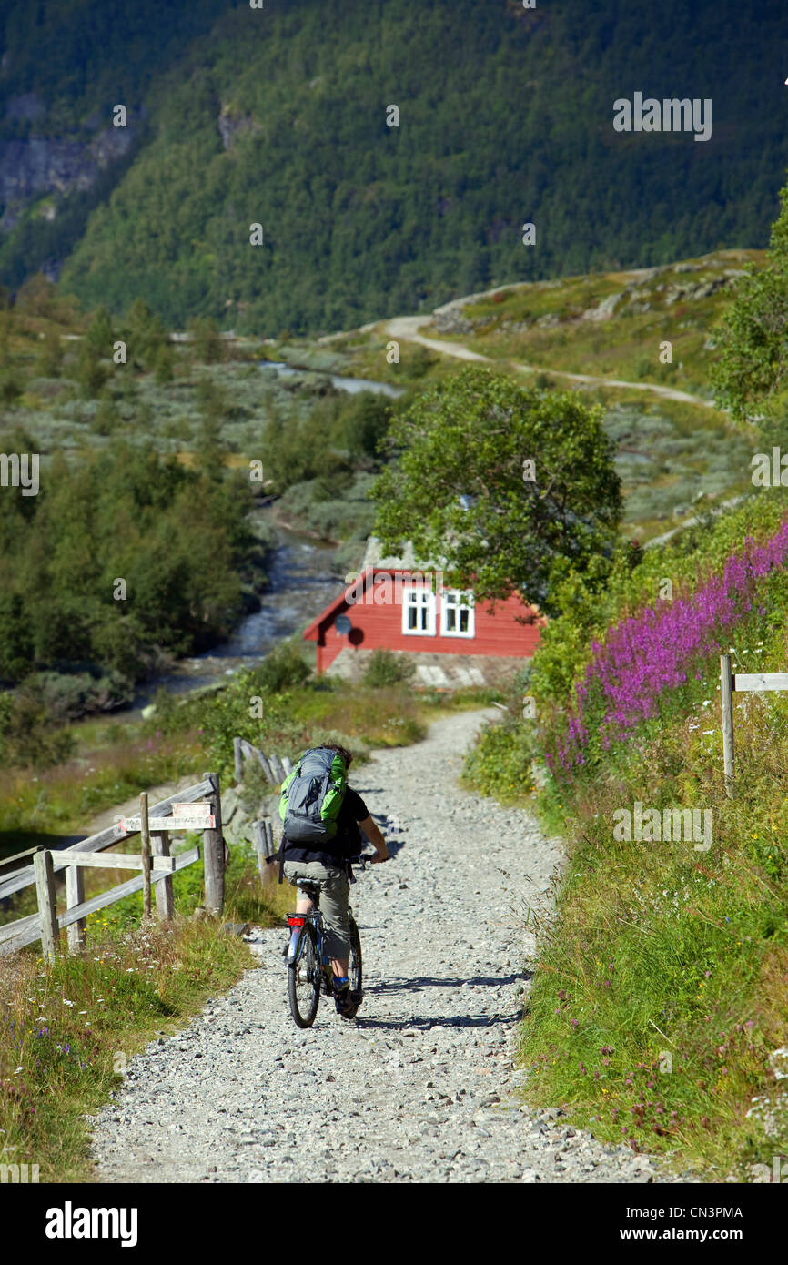 Norway, Sogn og Fjordane County, Myrdal Stock Photo
