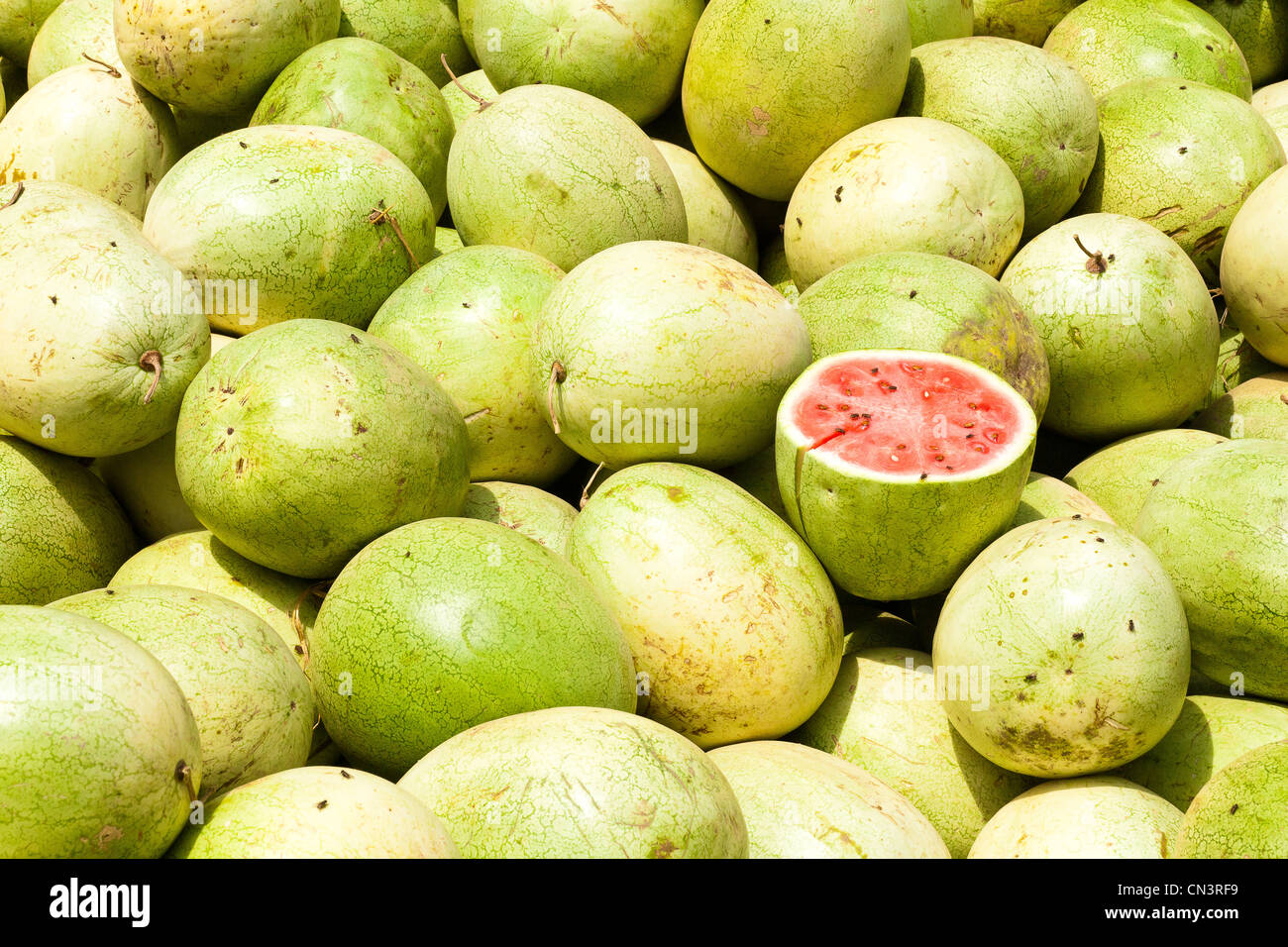 Myanmar (Burma), Shan state, Aungban, watermelons Stock Photo