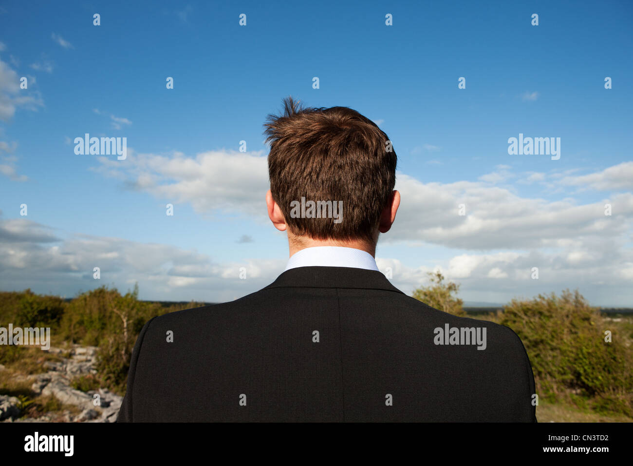 Businessman looking at view, rear view Stock Photo