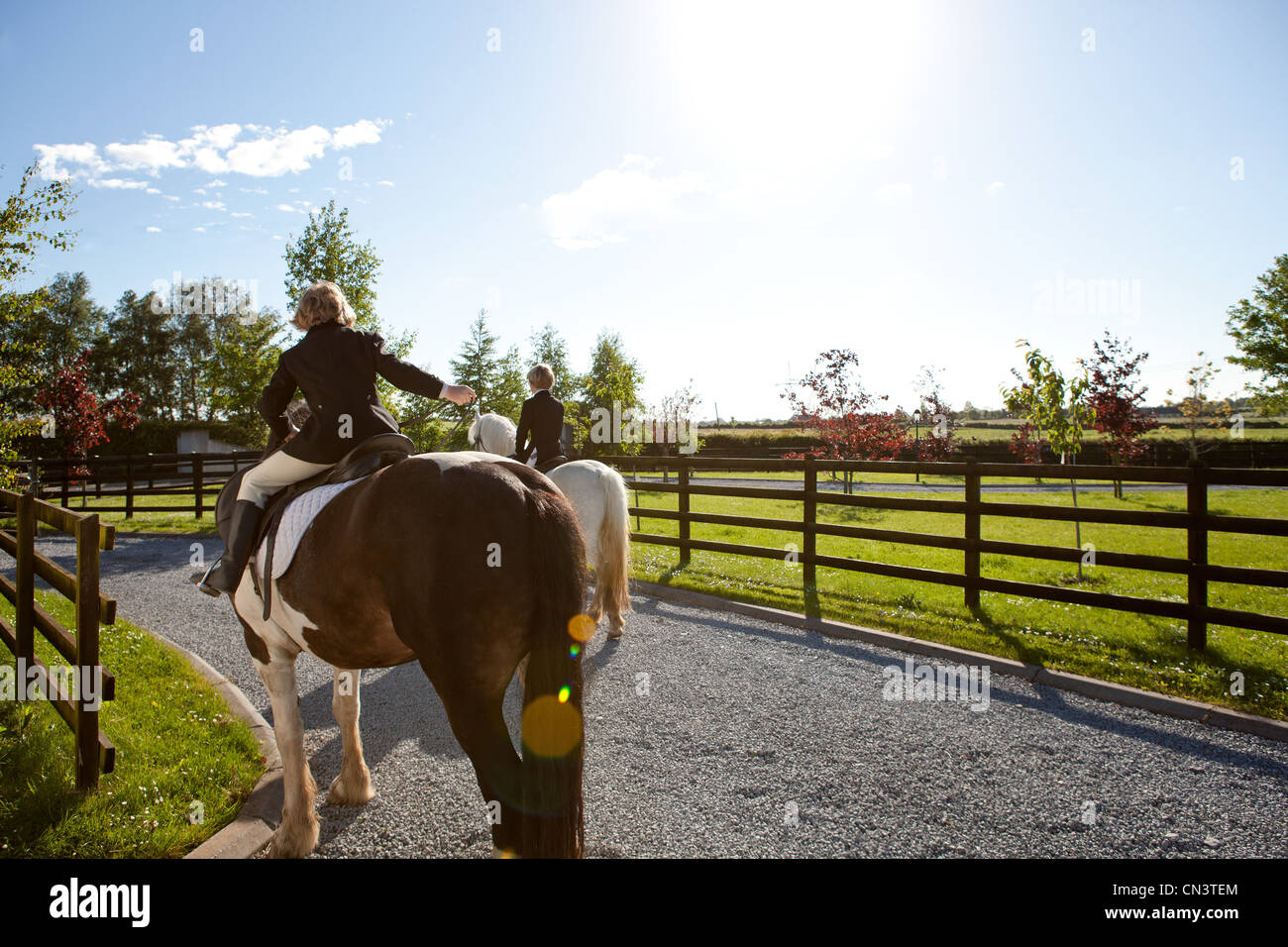 Boys riding horses in sunlight Stock Photo