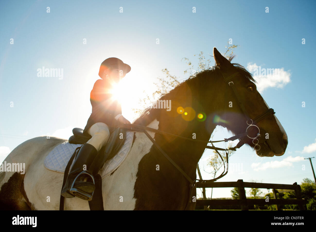 Boy riding horse in sunlight Stock Photo