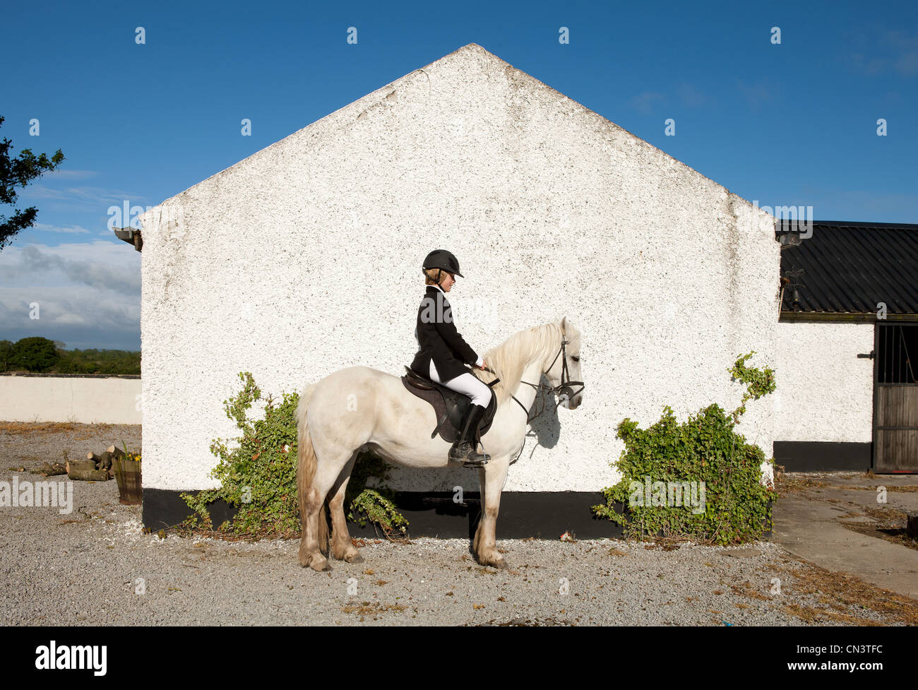 Boy riding horse in paddock Stock Photo