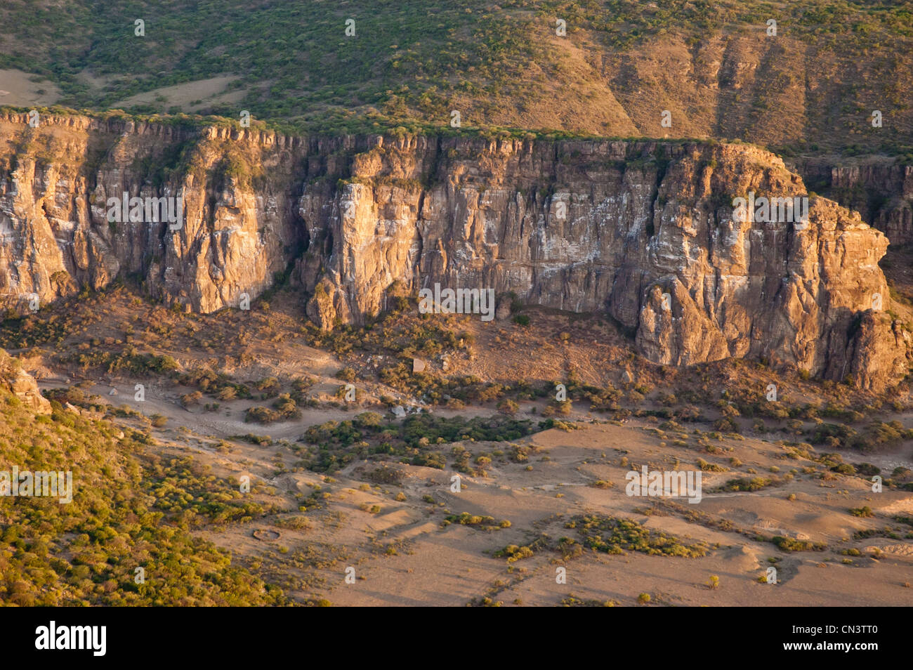 Nesting sites of Ruppell's vulture (Gyps ruppellii) at Ol Karien gorge, aerial view, aerial view, Tanzania Stock Photo
