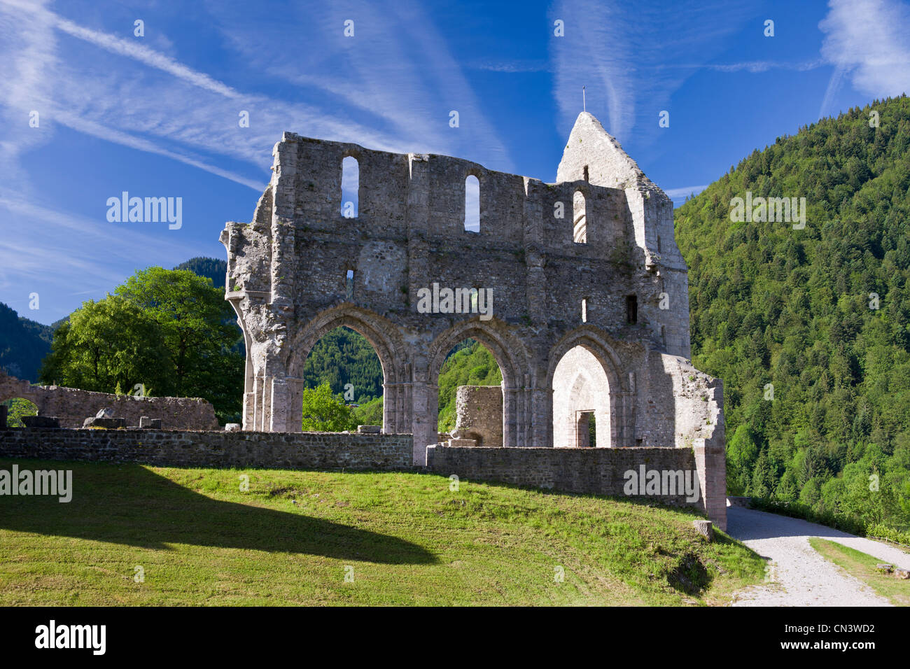 France, Haute Savoie, Chablais, Saint Jean d'Aulps, ruins of the Abbaye d'Aulps in the Dranse de Morzine Stock Photo
