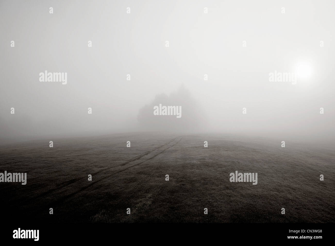 Fog over hill and distant trees Stock Photo