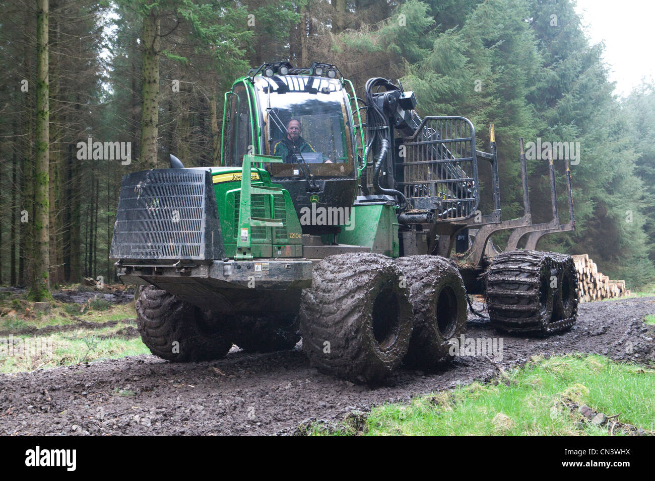 Commercial forestry a forwarder, all terrain vehicle, working picking up cut trees lumber in the forest Forestry Commission, UK Stock Photo
