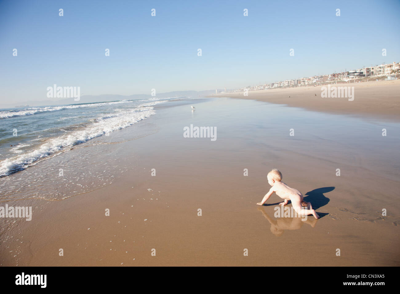 Baby crawling on beach Stock Photo