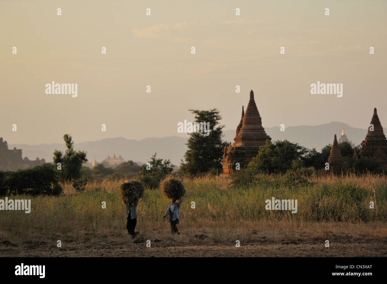 Myanmar (Burma), Mandalay Division, Bagan (Pagan), Old Bagan, temples and stupas Stock Photo