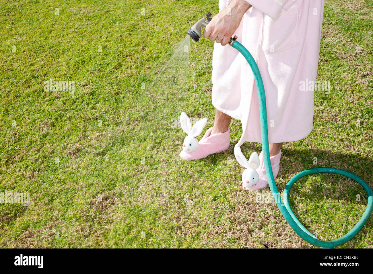 Man in pink robe and bunny slippers watering lawn Stock Photo