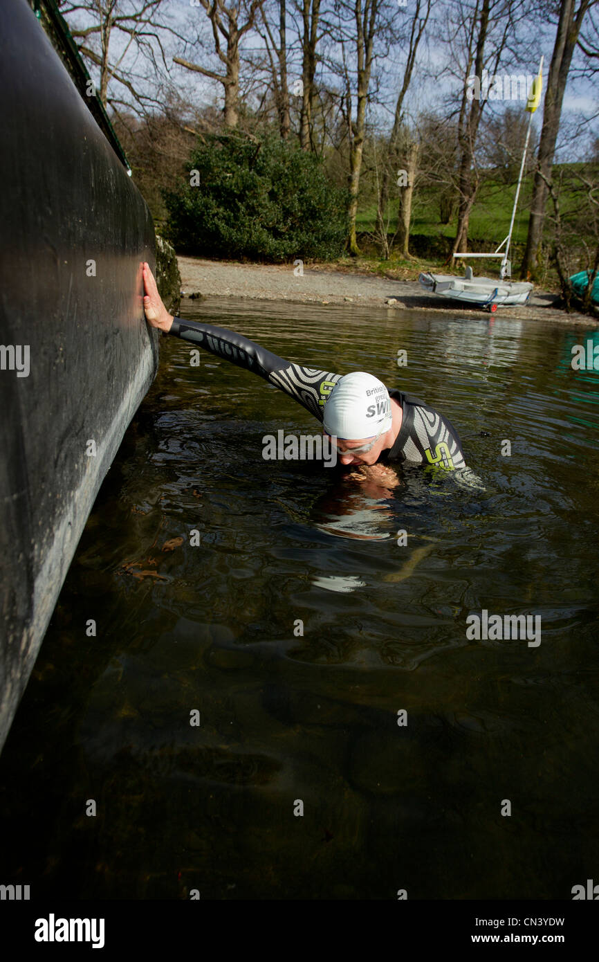 Practicing , acclimatising for the Great North Swim  Friday 22 to Sunday 24 Lake Windermere Cumbria England -Simmer Mark Lawson Stock Photo