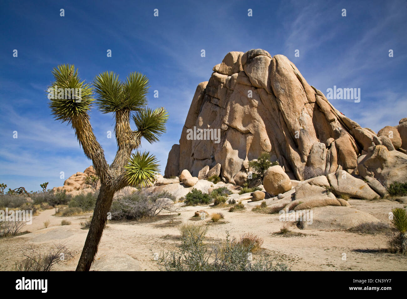 Desert Landscape in Joshua Tree National Park, California Stock Photo