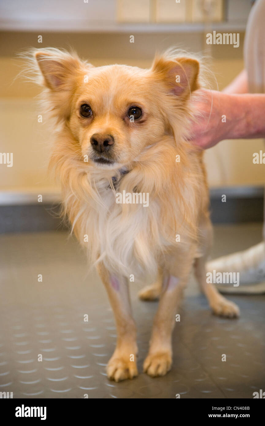 Vibration training Stock Photo