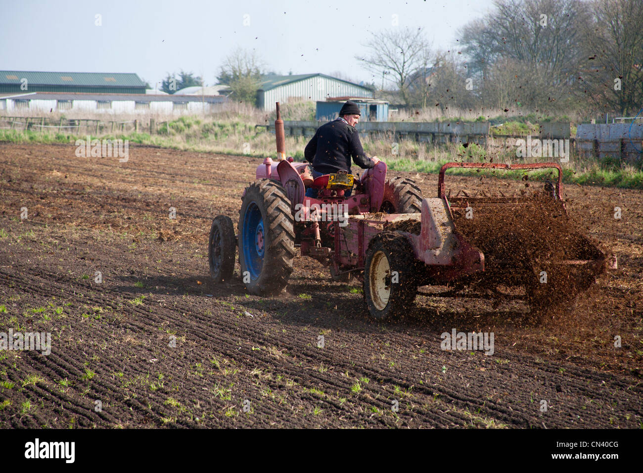 Farmer muck spreading his field, organic manure spreading with his old