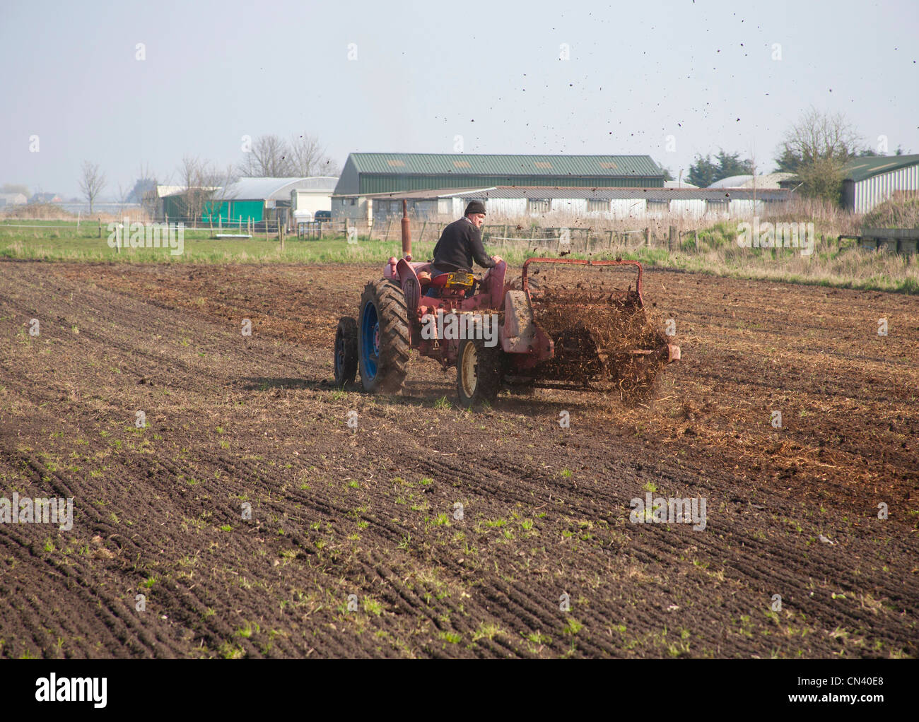 Farmer muck spreading his field with his old tractor and muck Stock Photo 47416720 Alamy