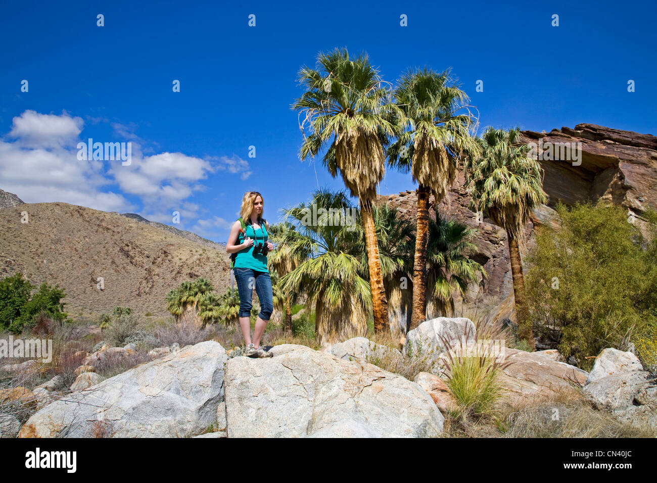 A hiker in Murry Canyon, Indian Canyons, near Palm Springs, California Stock Photo