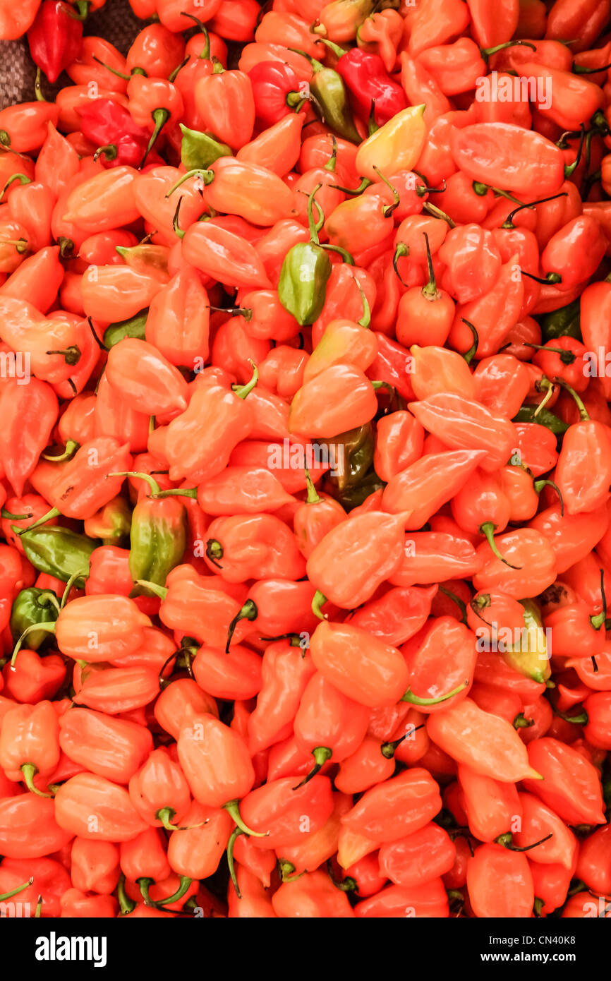 Peppers hot spicy chili market hi-res stock photography and images - Alamy