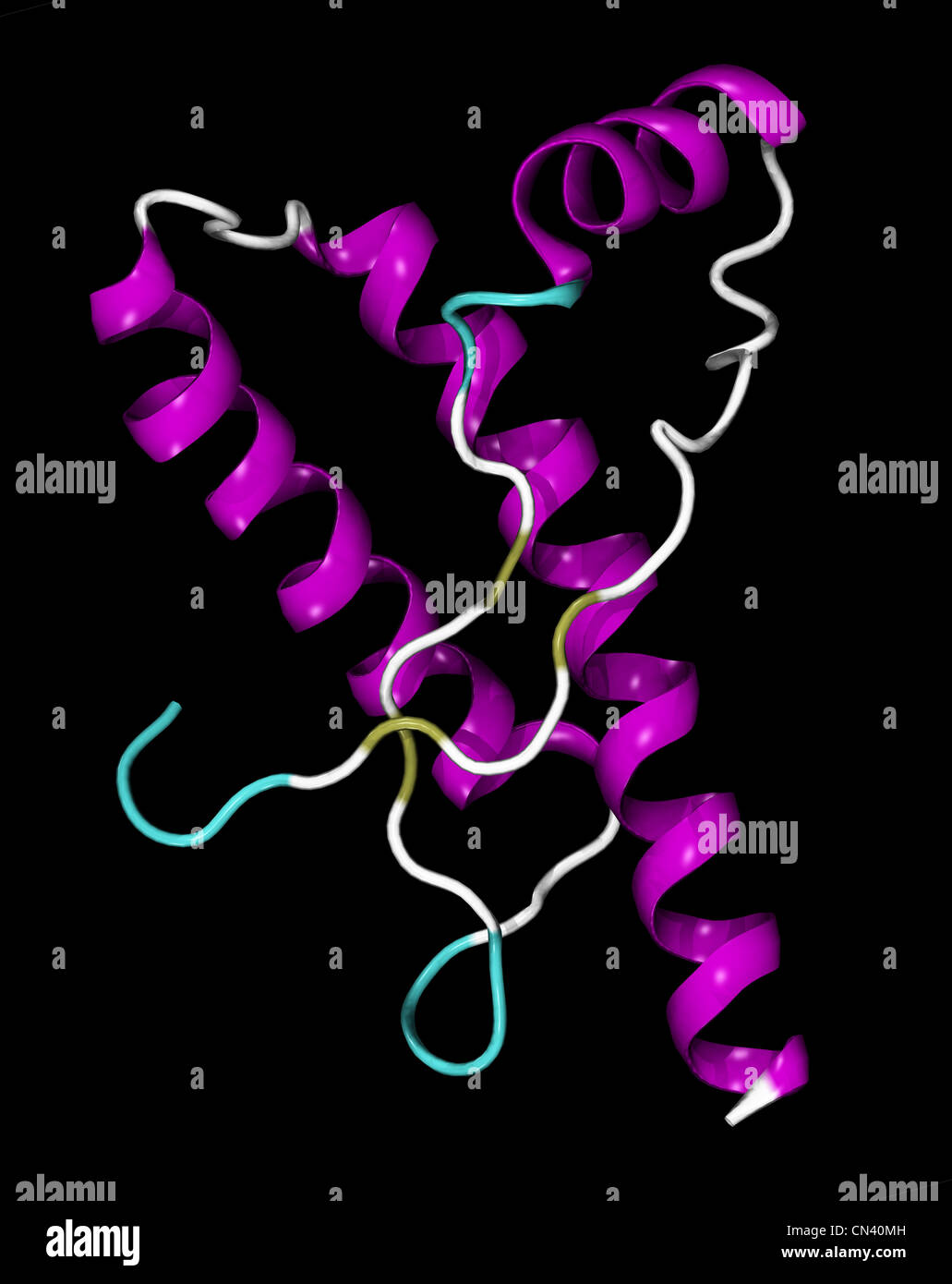 3-dimensional CGI model of the human prion protein Stock Photo