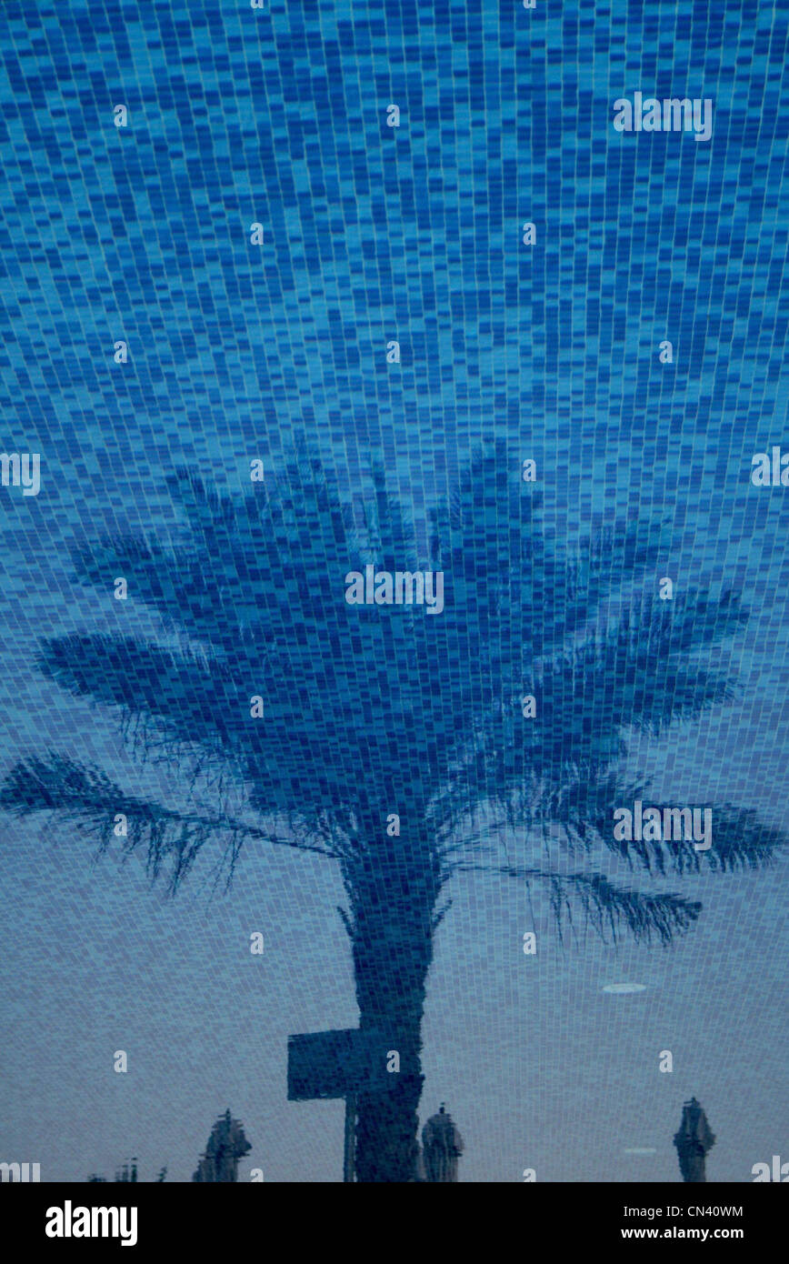 Palm tree reflection on swimming pool surface with the pool tiles