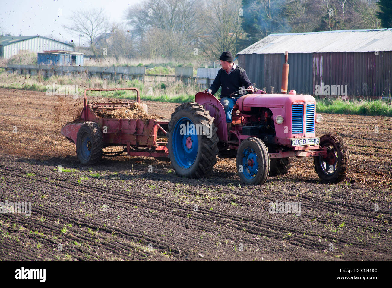 Farmer muck spreading his field with his old tractor and muck Stock