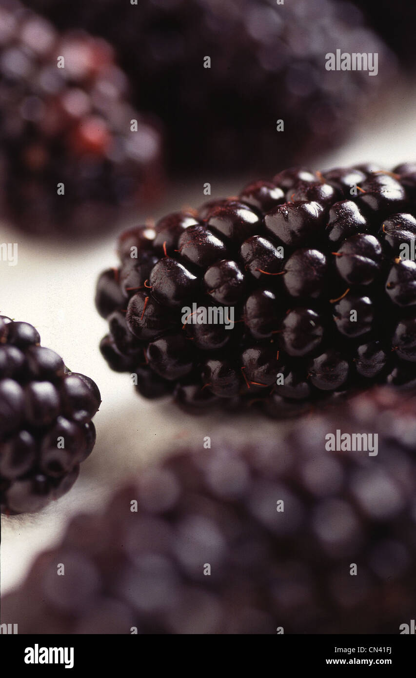 Genetically modified blackberries Stock Photo