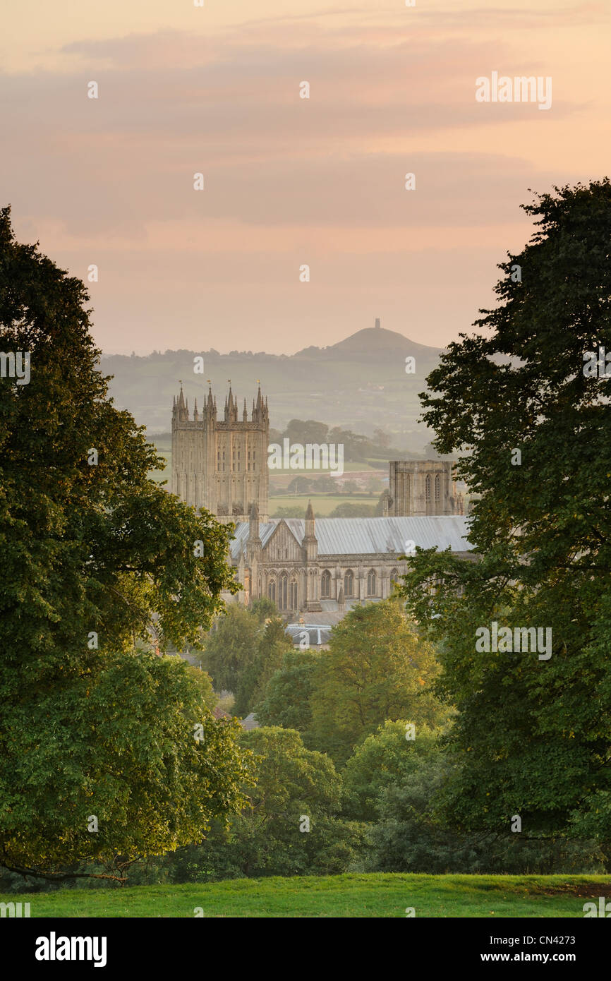 A pair of trees frame Wells Cathedral with Glastonbury Tor visible in the distance. Stock Photo