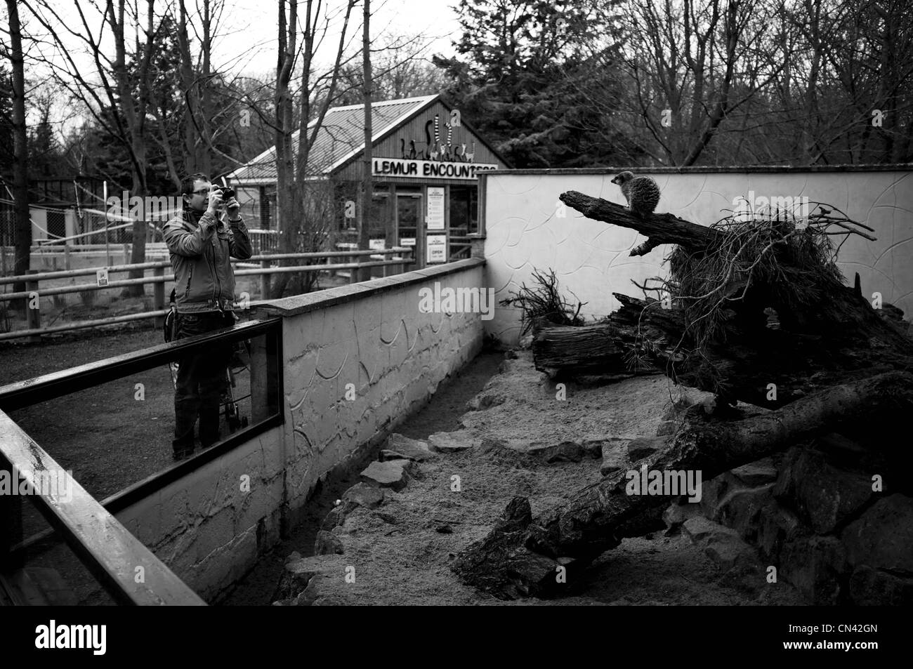 Banham Zoo Norfolk Stock Photo