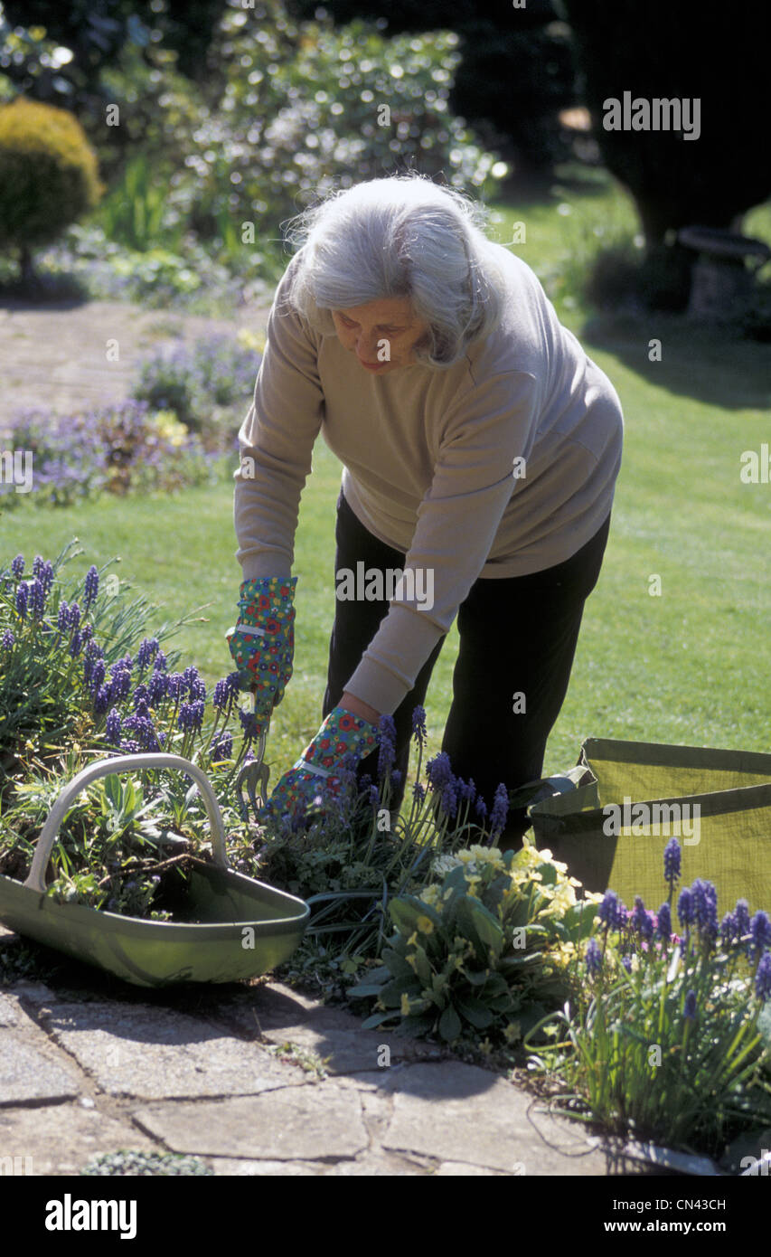 Gardening old lady weeding hi-res stock photography and images - Alamy