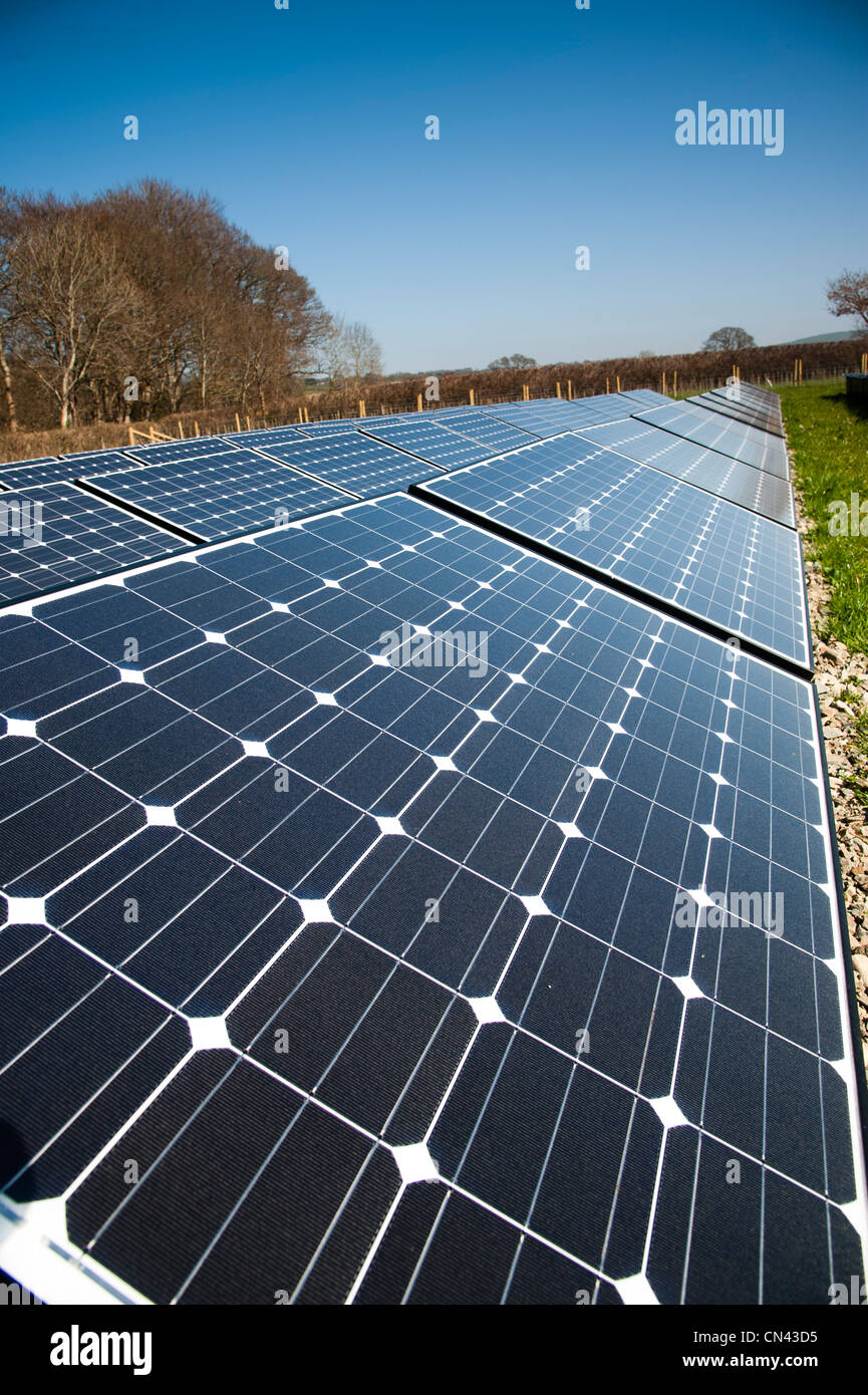 Solar energy solar power Photovoltaic cell cells in an array UK Stock Photo