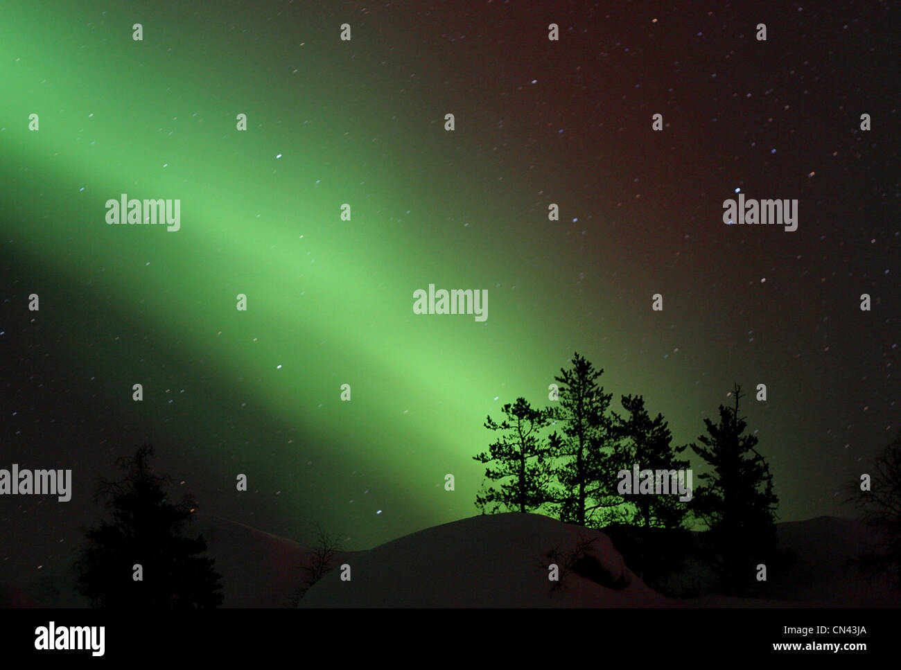 Northern Lights disappear behind scattered trees outside Yellowknife