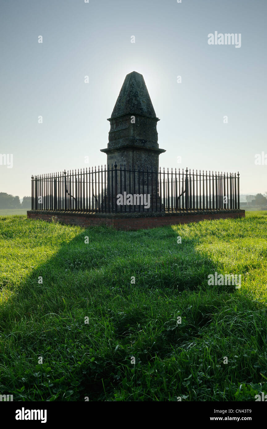 King Alfred's Monument at Athelney, near Burrowbridge, Somerset, UK. Stock Photo