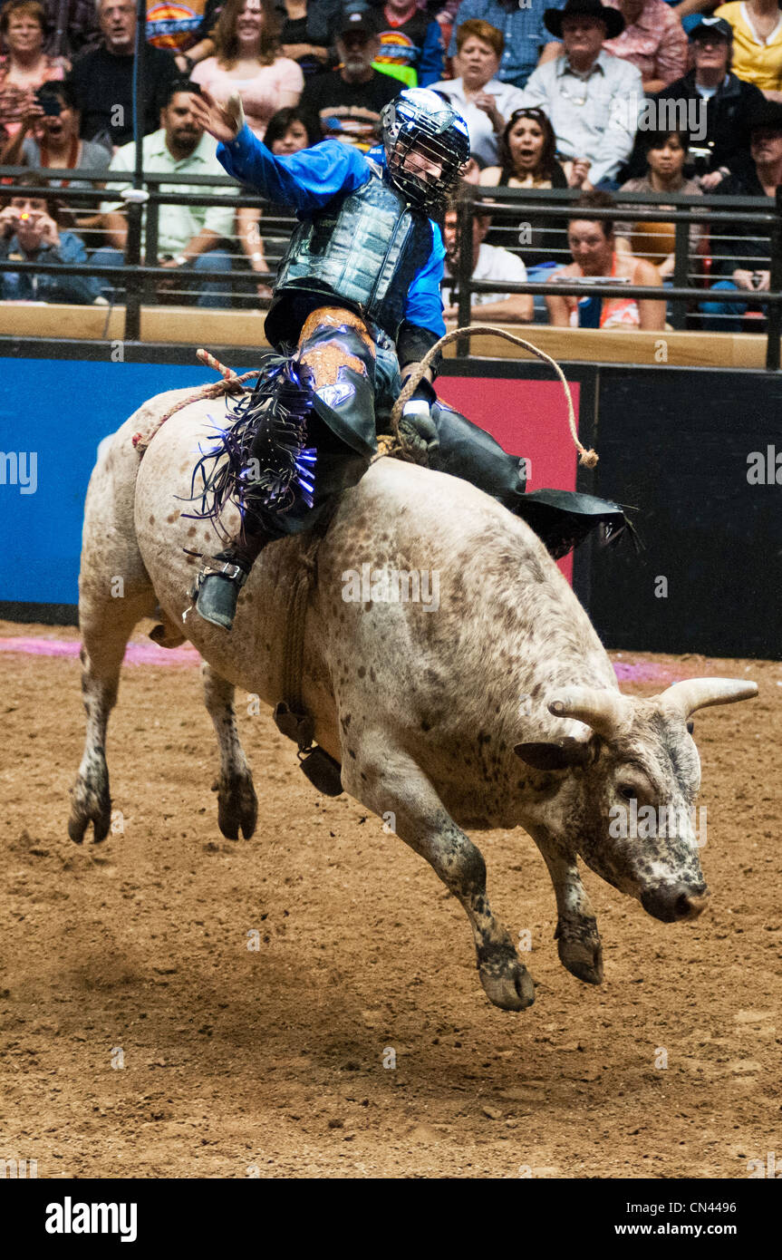 Pbr bull jumping hires stock photography and images Alamy