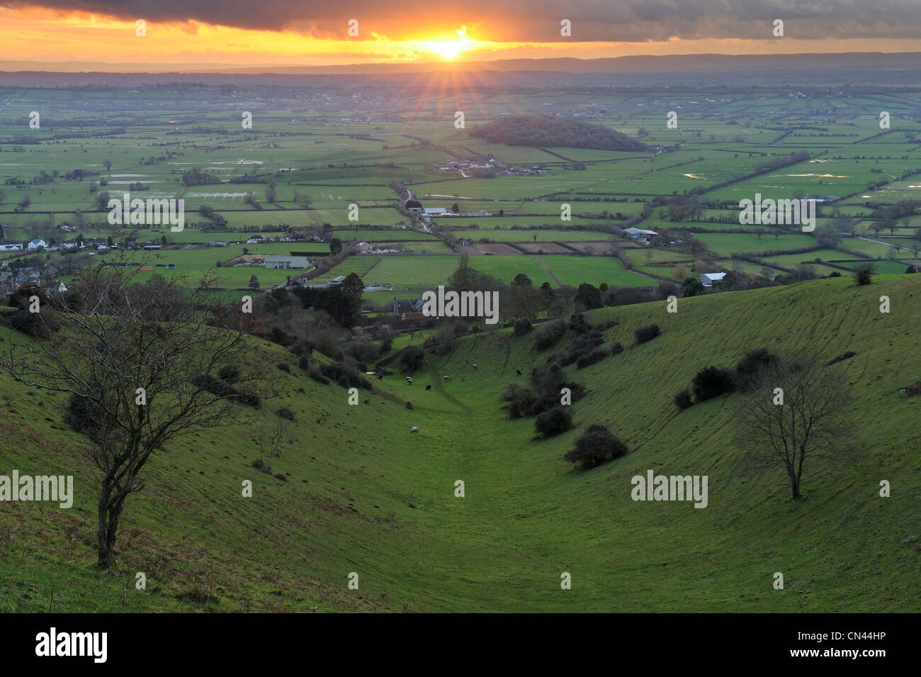 A golden sunset over the Somerset Levels seen from Batcombe Hollow. Stock Photo